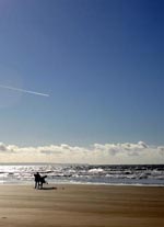 ** PLEASE DESCRIBE THIS IMAGE **